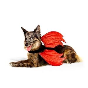 Hyde & Eek! Boutique Reversible Devil Angel Wings L/XL New with Tags